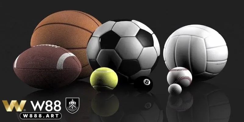 Không ngừng mở rộng thể thao w88 vì trải nghiệm người dùng
